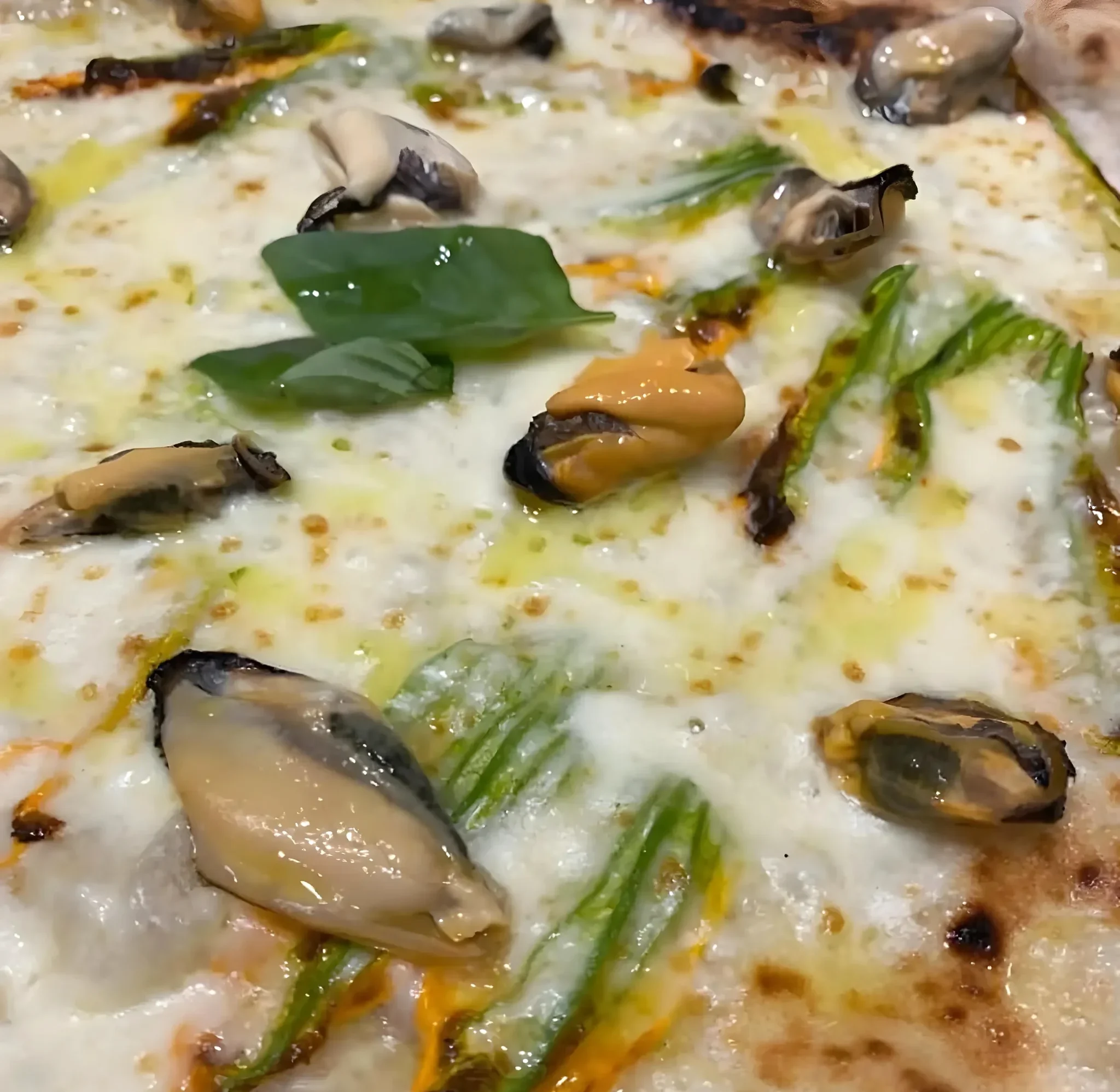 Special Marinara con stracciatella e pecorino sardo